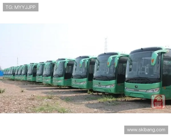 体育赛事期间公共交通运行保障